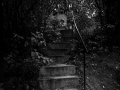 DSC07947-2