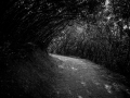 DSC07951-2