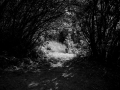 DSC07960-2