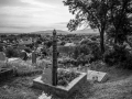 DSC07992-2