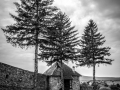 DSC08056-Edit-2
